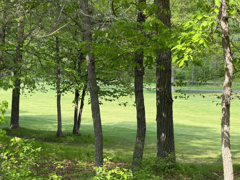 TB County Road 16, Pequot Lakes, MN 56472
