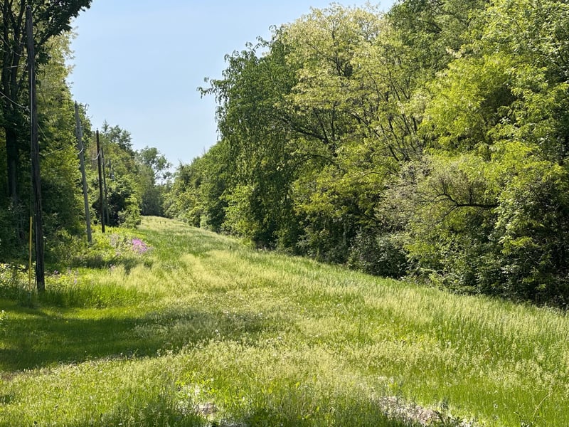 TBD Pullman Ave, Saint Paul Park, MN 55071