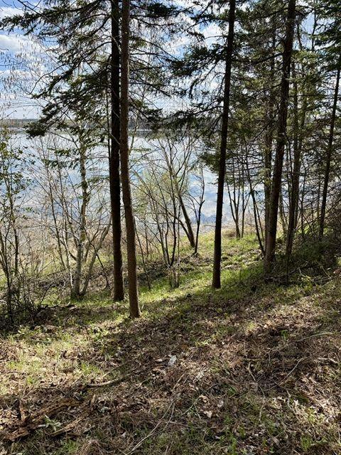 37222 N Courage Dr Lot 5, Lake George, MN 56458
