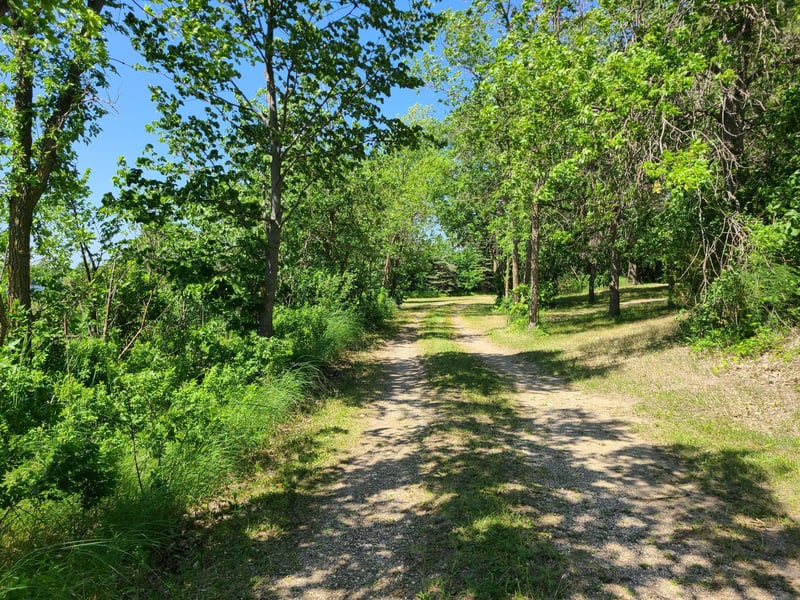 26373 Anna Lake Rd, Underwood, MN 56586