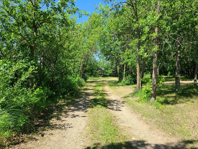 26373 Anna Lake Rd, Underwood, MN 56586