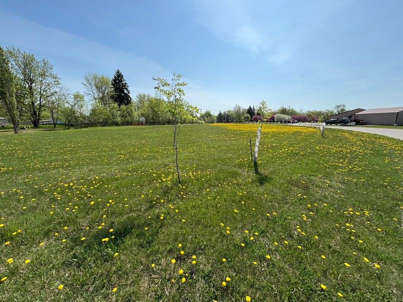 000 First St E, Thief River Falls, MN 56701