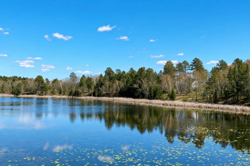 18280 County 11, Park Rapids, MN 56470