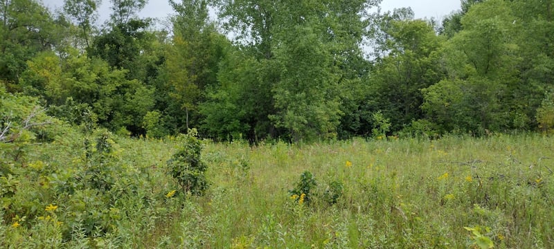 28023 County Highway 1, Underwood, MN 56586
