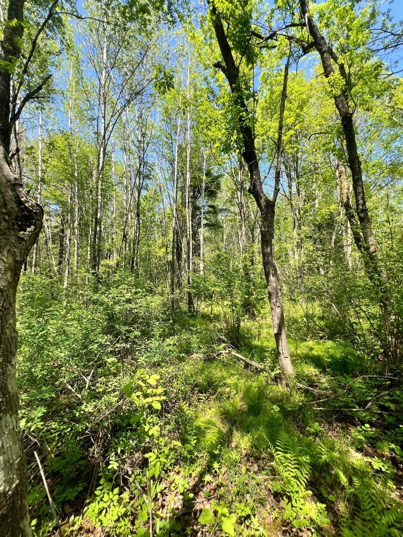 XXX Co Rd 67, Grand Rapids, MN 55744