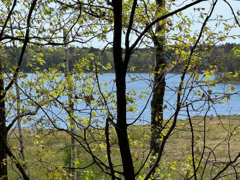 86927 Cori Ln, Sturgeon Lake, MN 55783