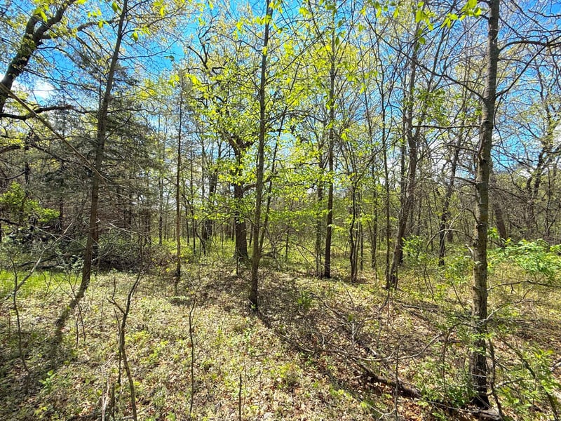 212XX Franklin Rd, Clearwater, MN 55320