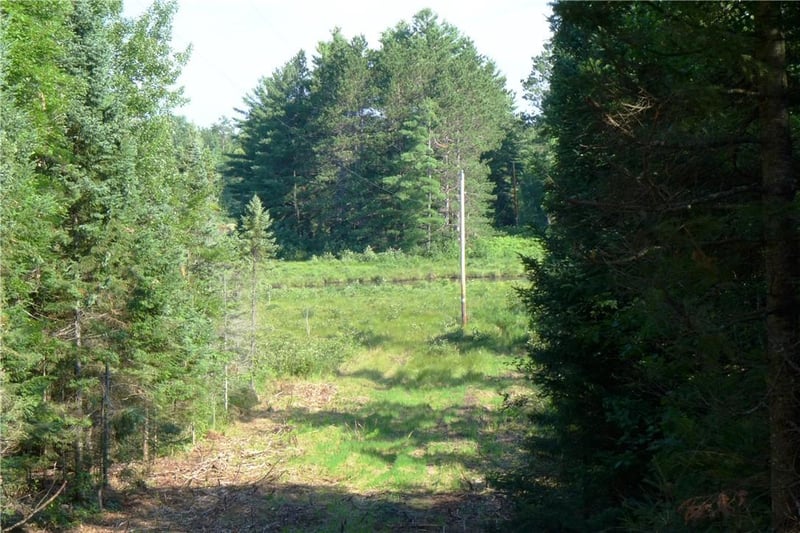 0 Brandt Rd, Hayward, WI 54843