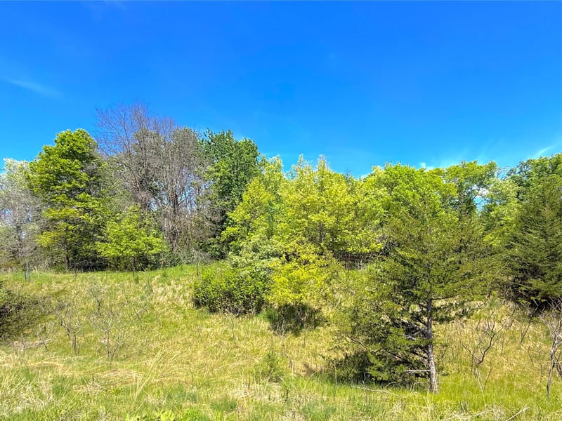 210XX County Road 75, Clearwater, MN 55320