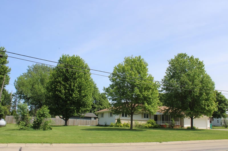 200 N Adams St, Elkton, MN 55933