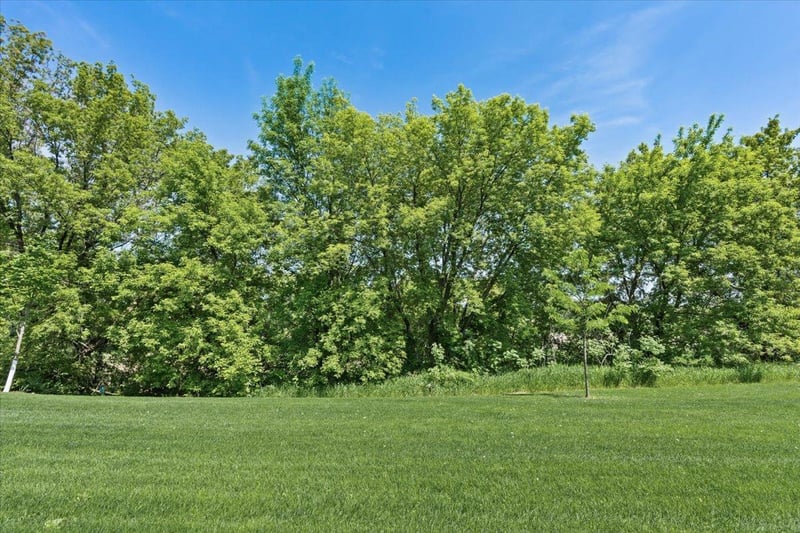 19142 Grass Lake Trl, Rogers, MN 55374