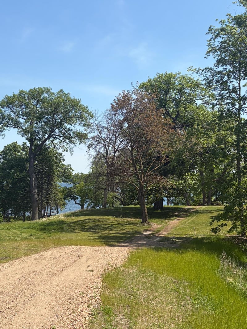 4894 Bridgevine Way, Independence, MN 55359