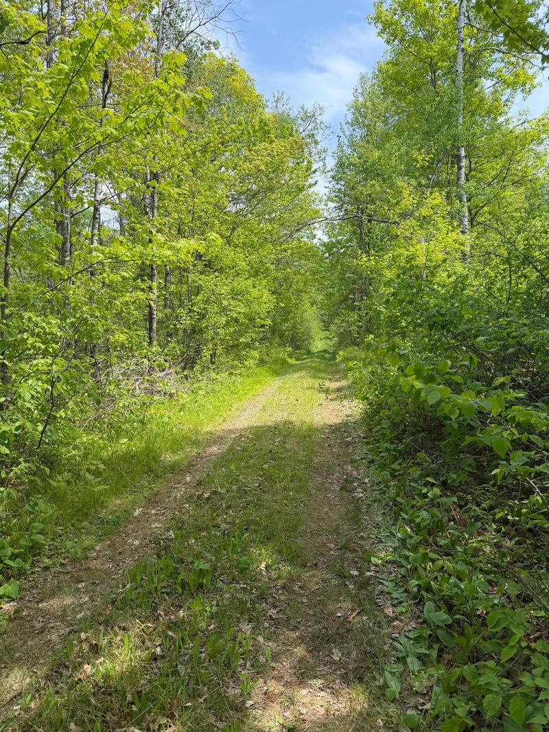TBD Range Line Rd, Kerrick, MN 55756