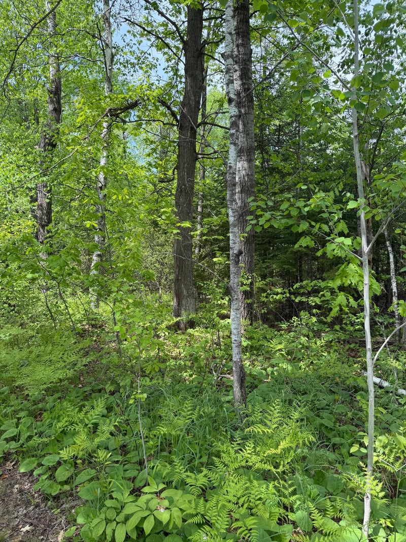 TBD Range Line Rd, Kerrick, MN 55756
