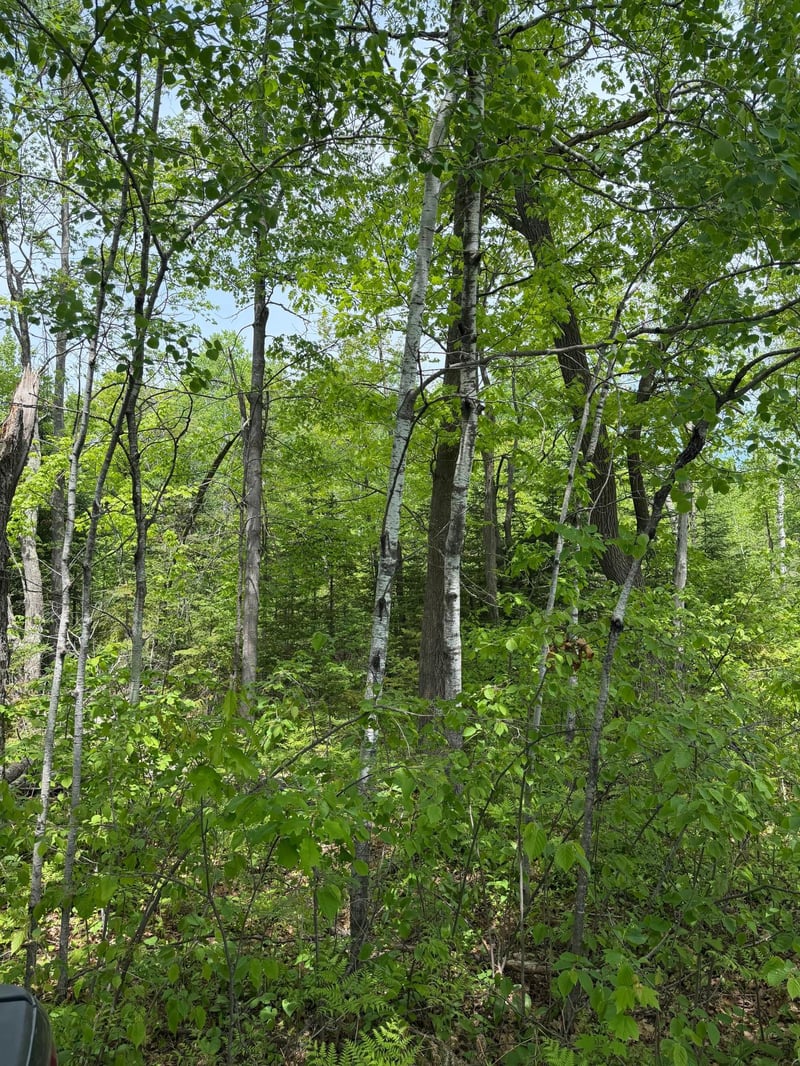 TBD Range Line Rd, Kerrick, MN 55756