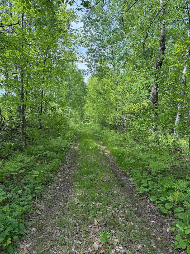 TBD Range Line Rd, Kerrick, MN 55756
