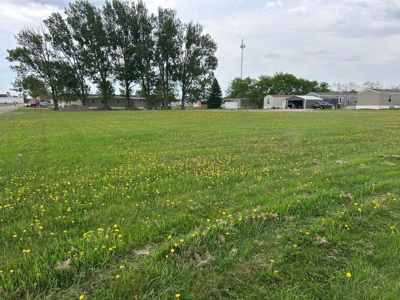 TBD 2nd St W, Thief River Falls, MN 56701