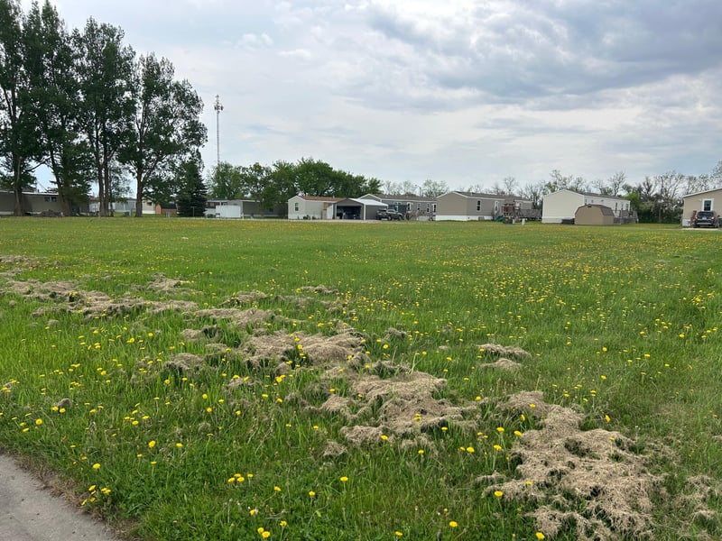 TBD 2nd St W, Thief River Falls, MN 56701