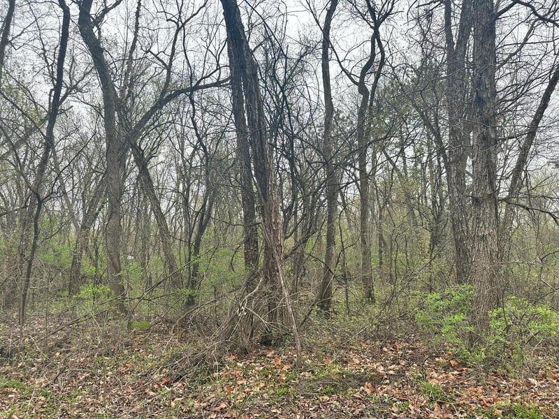 Lot 0 Catfish Dr, Trempealeau, WI 54661
