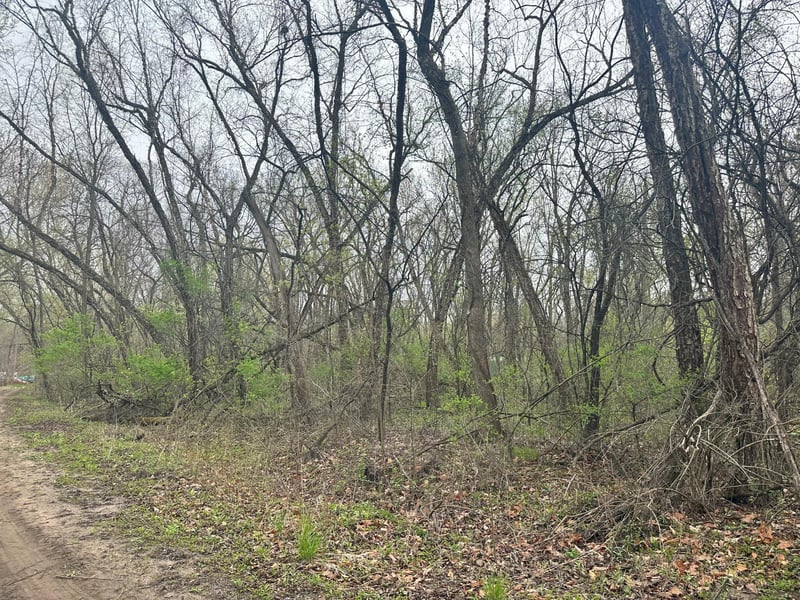 Lot 0 Catfish Dr, Trempealeau, WI 54661