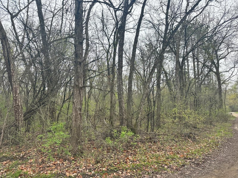 Lot 0 Catfish Dr, Trempealeau, WI 54661