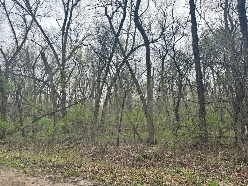 Lot 0 Catfish Dr, Trempealeau, WI 54661