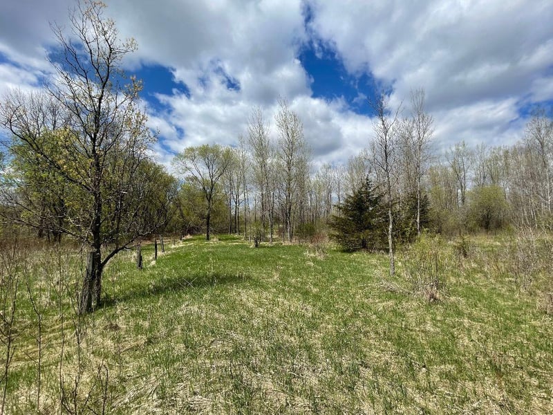 TBD 170th St N, Hugo, MN 55038