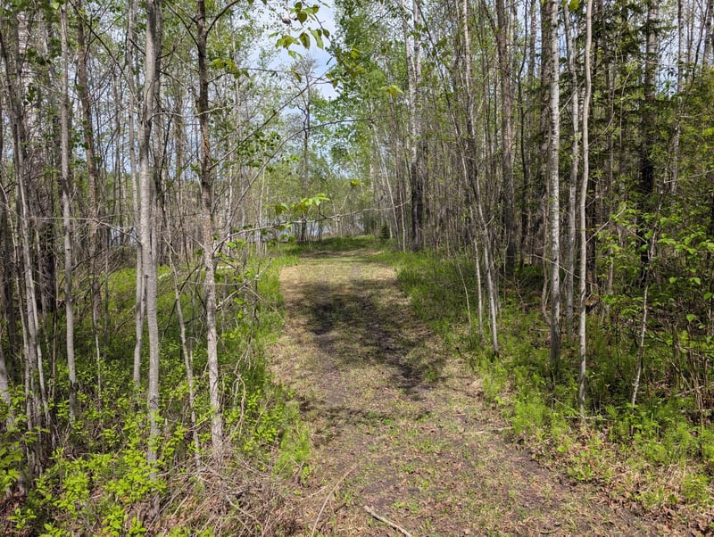 TBD Town Road 117, Baudette, MN 56623