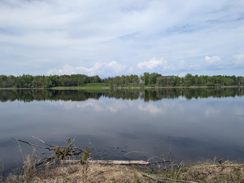 TBD Town Road 117, Baudette, MN 56623