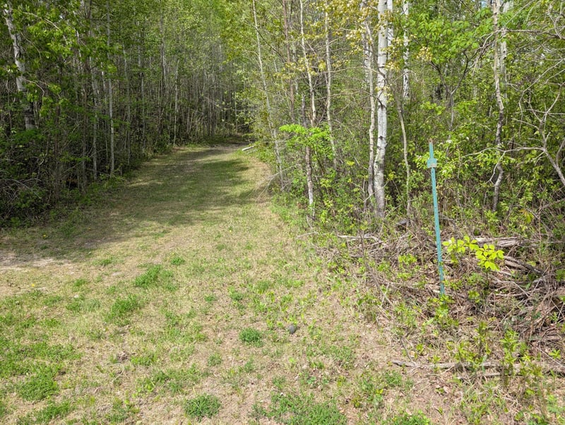 TBD Town Road 117, Baudette, MN 56623