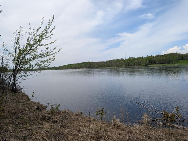 TBD Town Road 117, Baudette, MN 56623