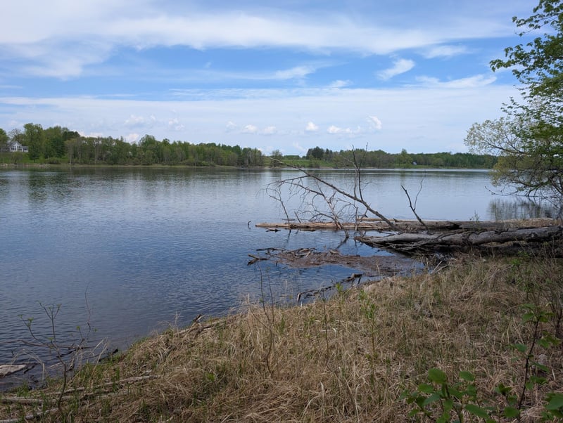 TBD Town Road 117, Baudette, MN 56623