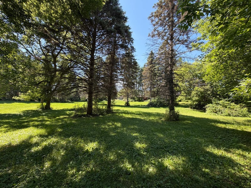 11039 181st Ave NW, Elk River, MN 55330
