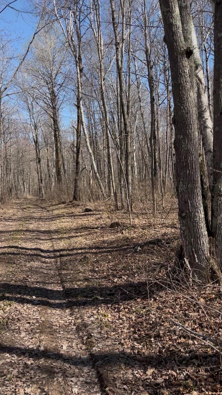 1 Tbd, Hinckley Twp, MN 55037