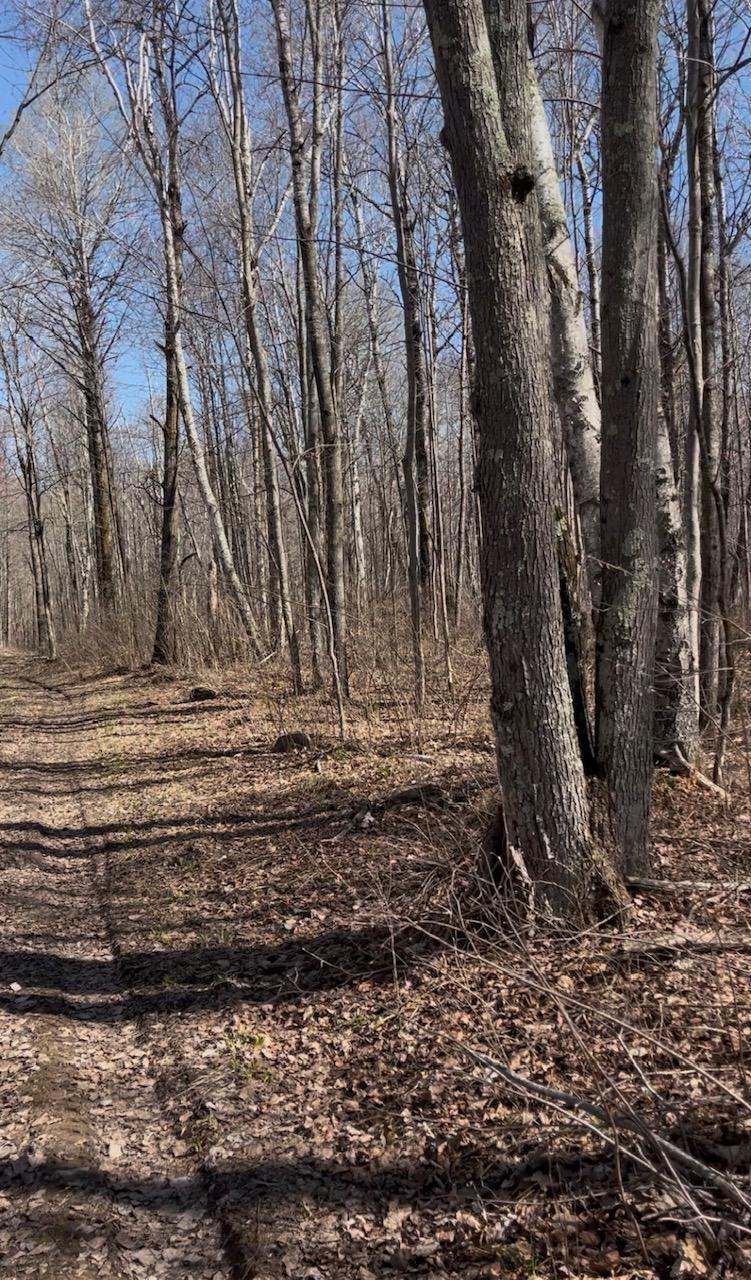 1 Tbd, Hinckley Twp, MN 55037
