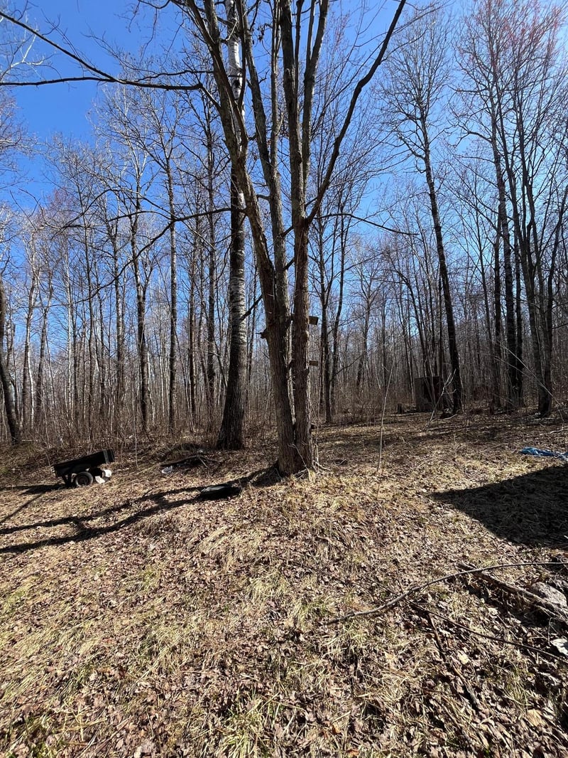 1 Tbd, Hinckley Twp, MN 55037