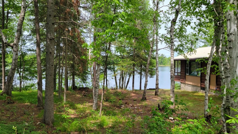550 Shady Shores Trl NW, Pine River, MN 56474