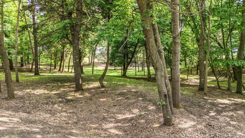 TBD Edgeton Ct, Richmond, MN 56368