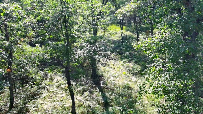 30057 Crystal Lake Dr, Webster, WI 54893