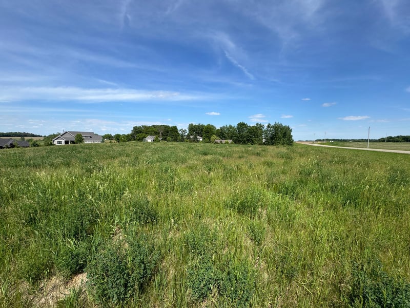 TBD 267th St, Racine, MN 55967