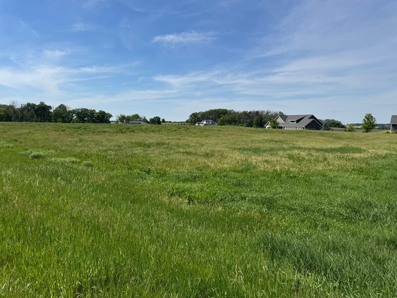 TBD 267th St, Racine, MN 55967