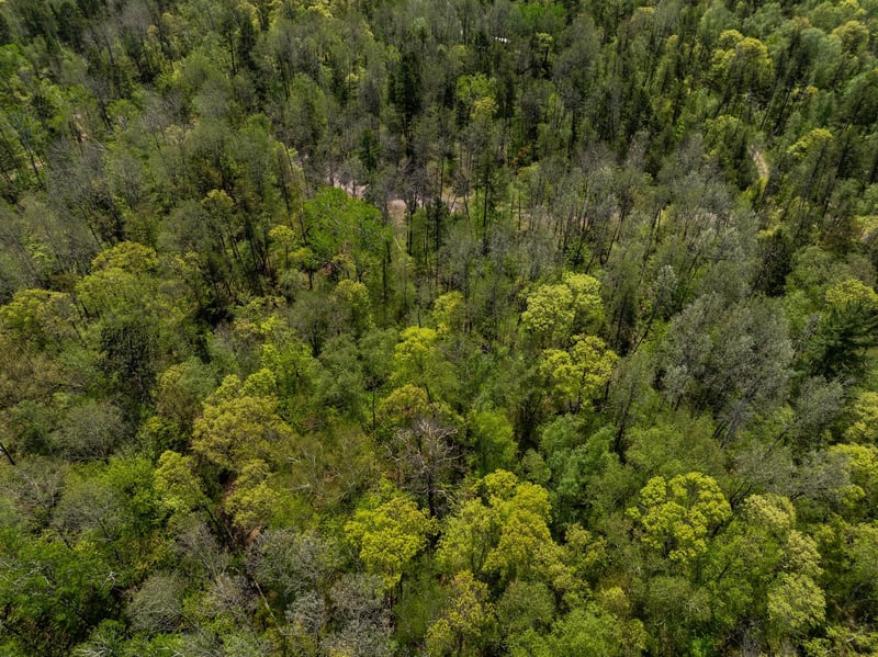 TBD Hidden Creek Ct, Pequot Lakes, MN 56472