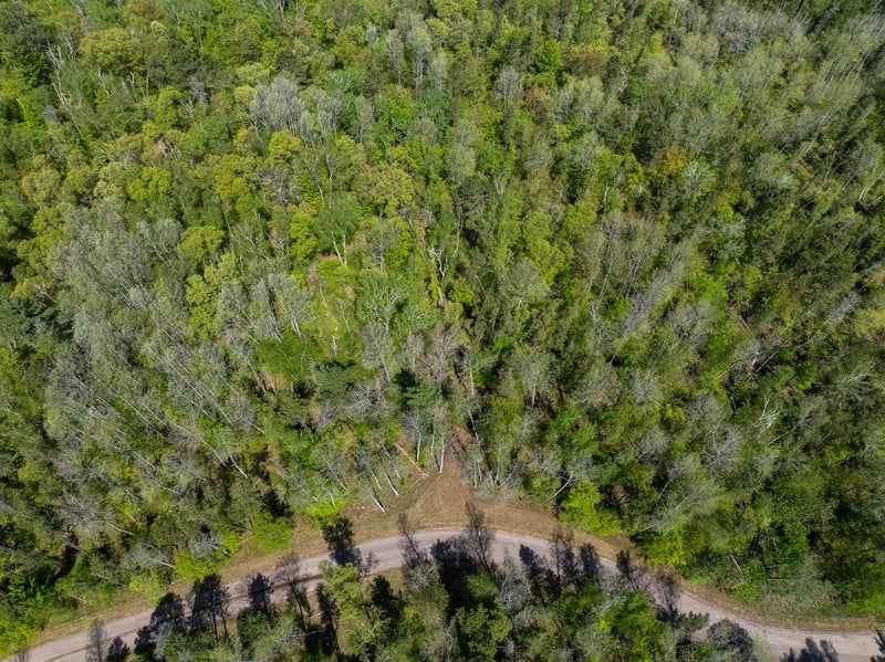 TBD Hidden Creek Ct, Pequot Lakes, MN 56472