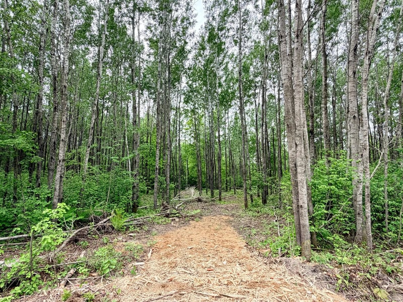 TBD Half Moon Rd, Park Rapids, MN 56470