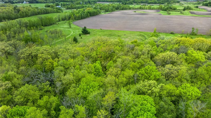 XX Linden Tree Rd, Grasston, MN 55030
