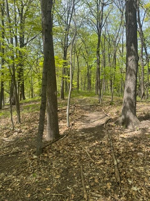 TBD Maple View Ct, Excelsior, MN 55331