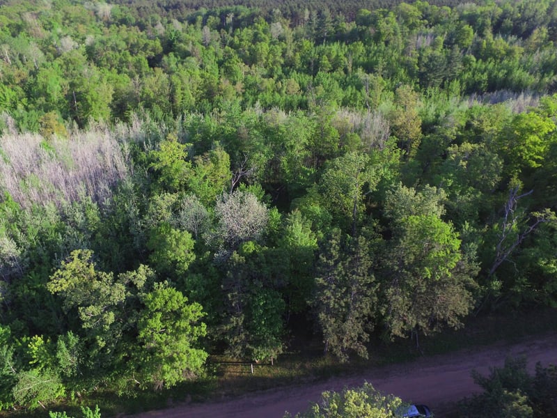 Lot 19 Aspen Hill Trailway, Webster, WI 54893