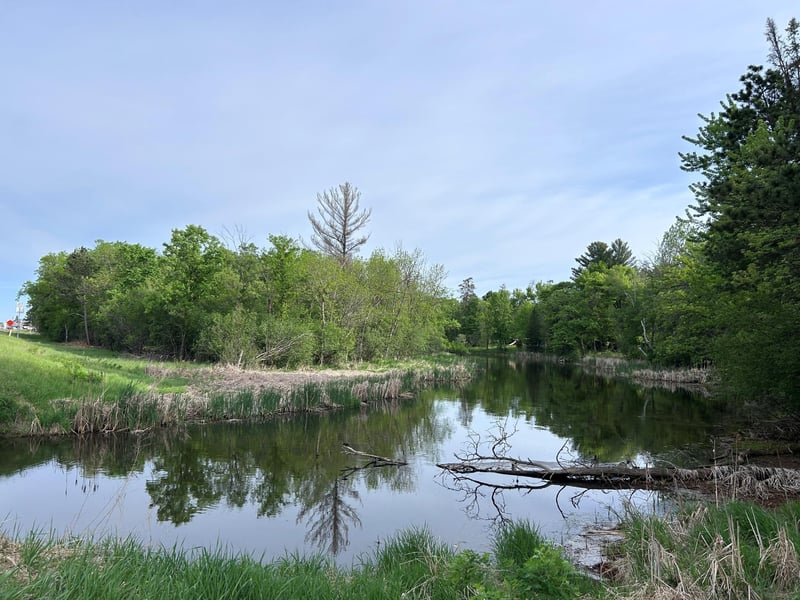 TBD Front St, Pine River, MN 56474