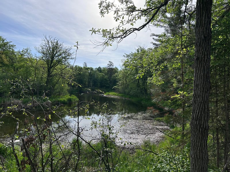 TBD Front St, Pine River, MN 56474