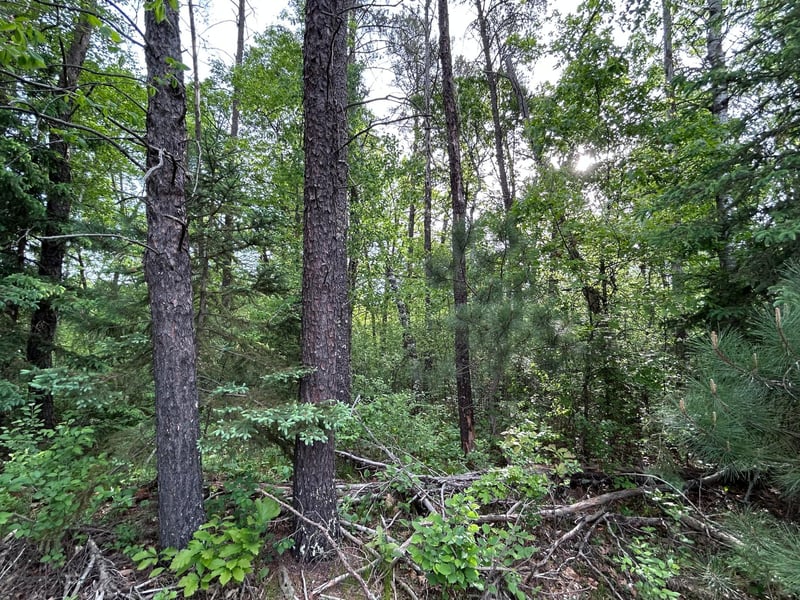 TBD Front St, Pine River, MN 56474